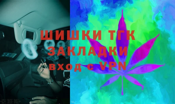 МДПВ Богородск