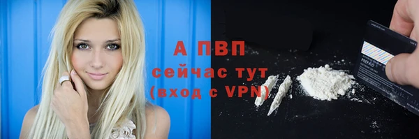 мяу мяу мука Богородицк
