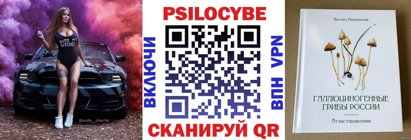 купить   Каргополь  Галлюциногенные грибы прущие грибы 